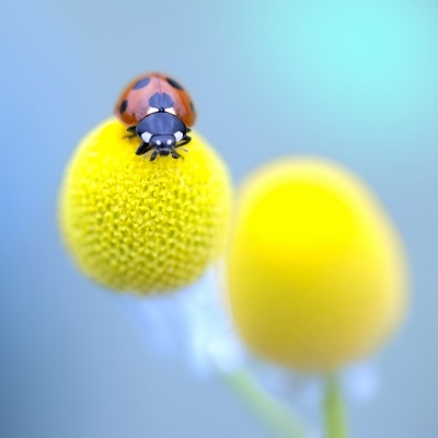 生物は暗記しないといけない知識量が多い科目